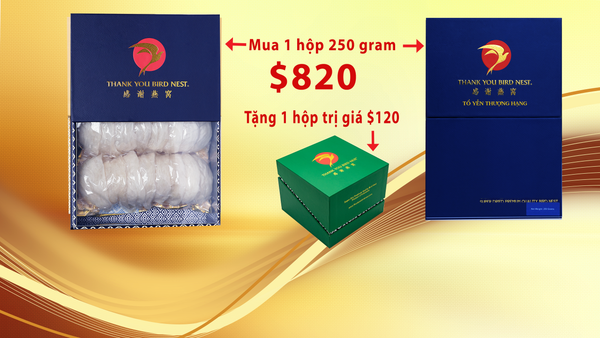 Thank You Bird Nest-250gram Tổ Yến Thượng  Hạng